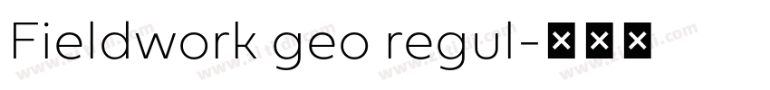 Fieldwork geo regul字体转换